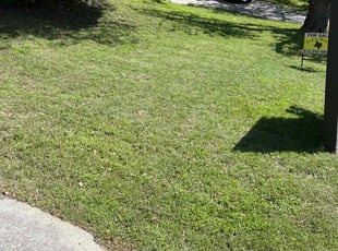 Ronald H.'s grass maintenance service result