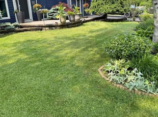 Ray W.'s grass maintenance service result