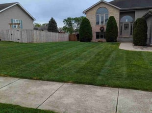 Stacy B.'s turf care service result
