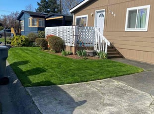 Dena C.'s landscape maintenance service result