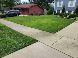 Dhaval C.'s lawn service service result