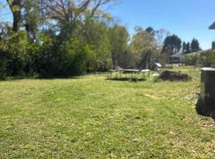 Shelby L.'s lawn care service result