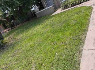 Marina M.'s lawn service service result