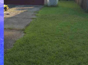 Devonna K.'s turf maintenance service result