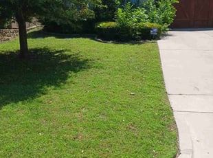 Monica Q.'s landscaping service result