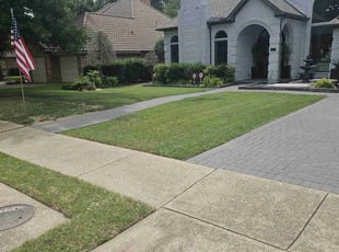 Janet F.'s lawn service service result
