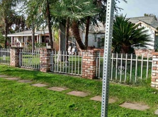 Celeste P.'s lawn maintenance service result