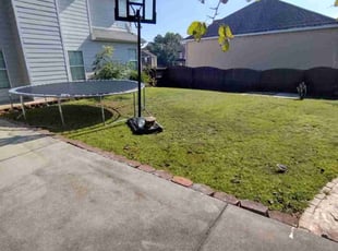 Larry W.'s grass cutting service result