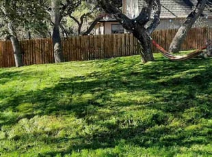Tracy B.'s lawn maintenance service result