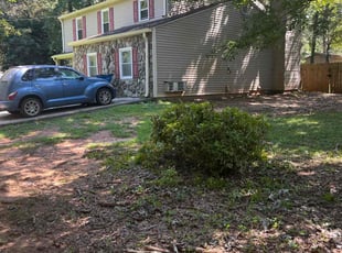 Elin H.'s Bush Trimming service result