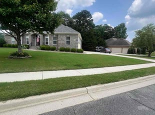 Michael H.'s lawn care service result