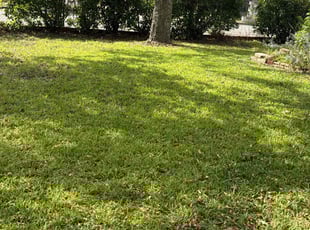 Roberta B.'s lawn care services service result