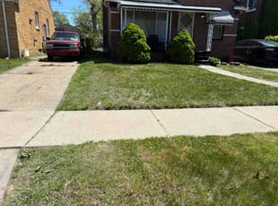 Andre G.'s lawn care service result