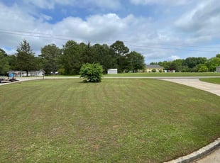 Mike M.'s grass maintenance service result