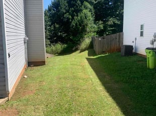 James F.'s grass cutting service result