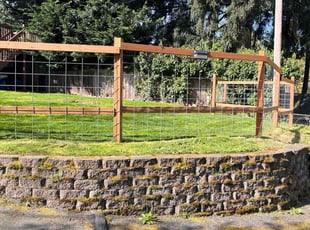 Alex J.'s grass maintenance service result