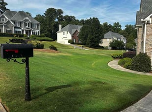 Vince D.'s lawn maintenance service result