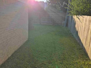 Liang W.'s lawn service service result