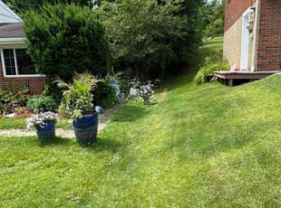 Zachariah H.'s grass cutting service result