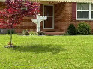 Bridget A.'s turf care service result