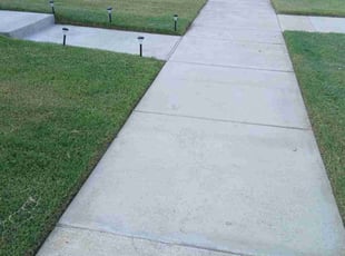 Larry S.'s turf maintenance service result