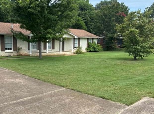 Ashley D.'s turf care service result