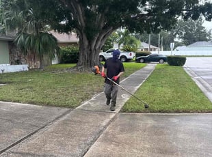 Robia G.'s turf maintenance service result