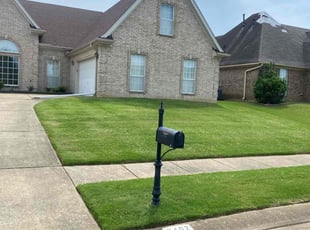 Yolswannty S.'s lawn care service result