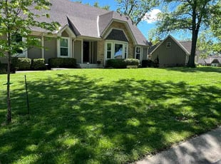 Collin P.'s lawn care services service result