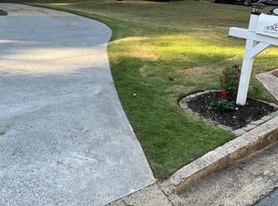 Iliana T.'s Leaf Removal service result