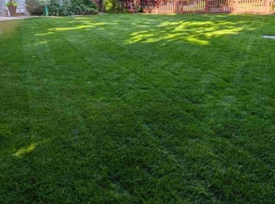 David H.'s lawn maintenance service result