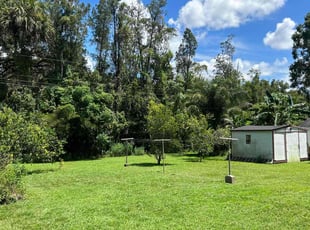Connie L.'s grass cutting service result