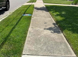 Mary K.'s lawn care service result