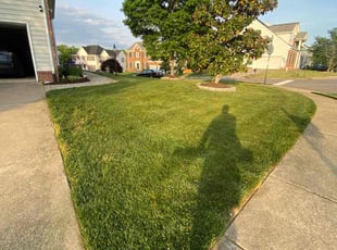 Melissa D.'s lawn service service result
