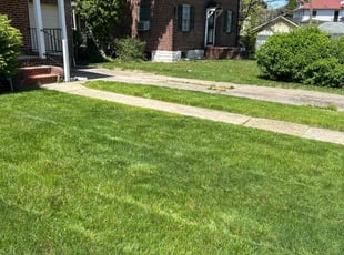 Myrna O.'s lawn care service result