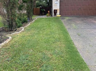 Kellen L.'s lawn care service result