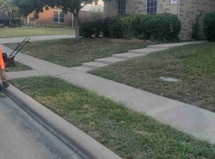 Allie H.'s lawn service service result