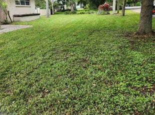 Pamela R.'s yard maintenance service result