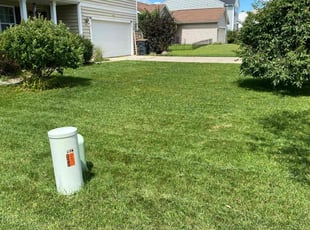 Laura Z.'s turf care service result