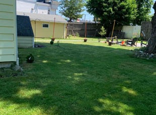 Angela M.'s lawn service service result