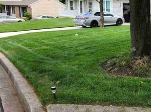 Ella E.'s lawn care services service result
