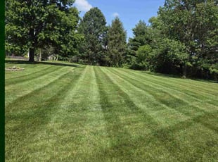 Julie S.'s lawn care service result