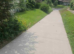 Josh V.'s turf care service result