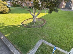 Nancy D.'s lawn service service result