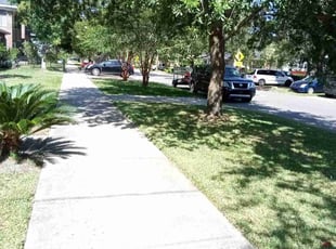 Sharan D.'s yard service service result