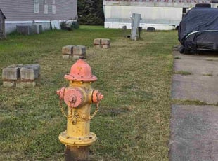 Albert C.'s lawn care service result