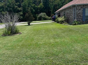 Kenneth E.'s turf maintenance service result