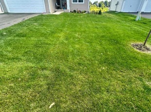 Steve L.'s lawn care services service result