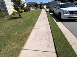 Shayne G.'s lawn service service result