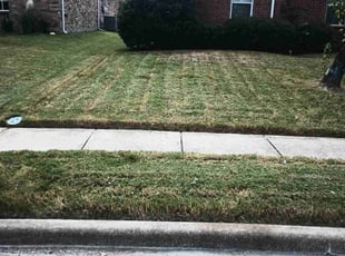 John M.'s turf maintenance service result